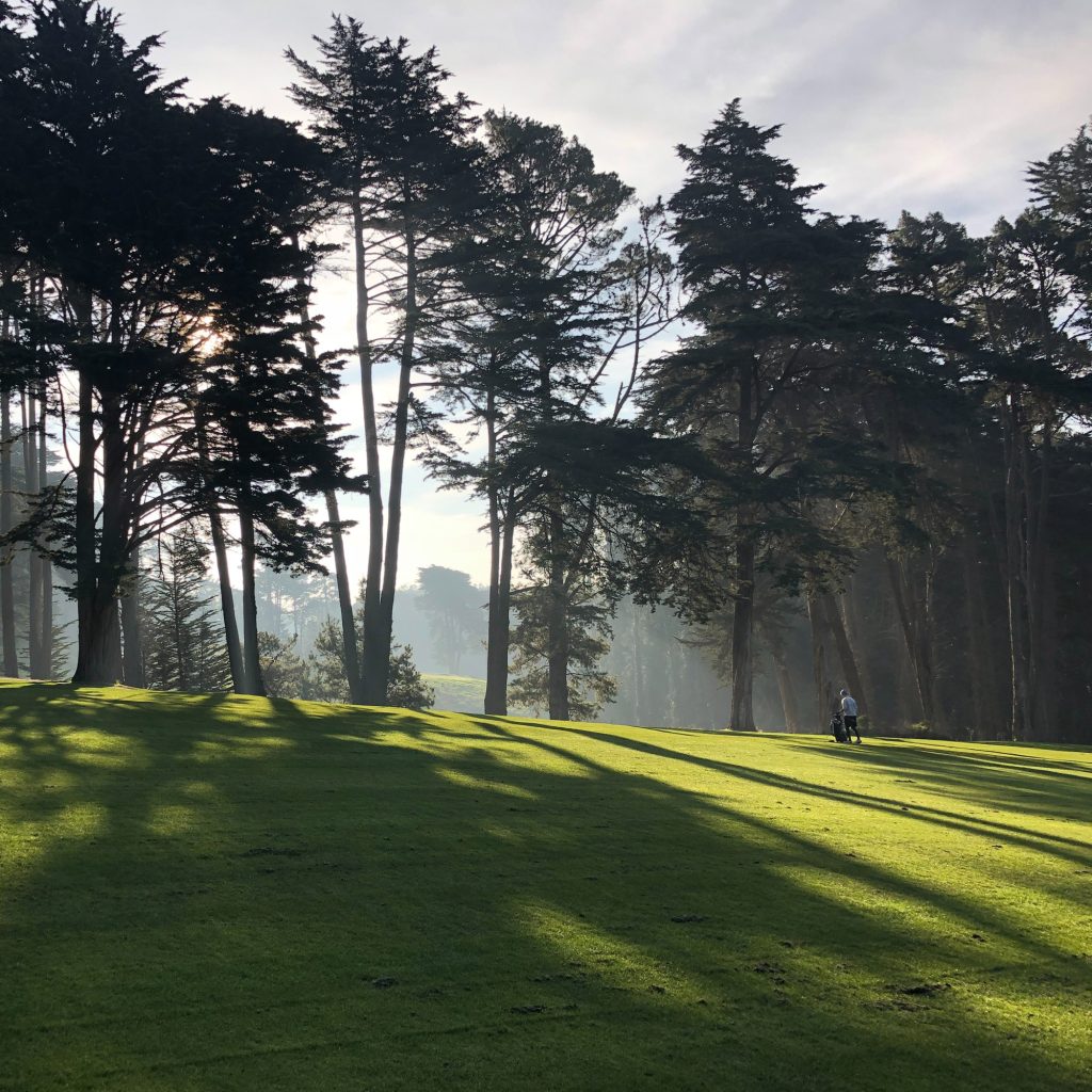 golf course shadows